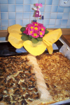 Mixed Seedbread and Onion/Mushroomquiche Mixed Seedbread and Onion/Mushroomquiche