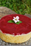 White Chocolate-Mousse Torte with raspberry filling White Chocolate-Mousse Torte with raspberry filling