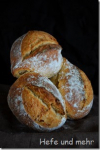 Einkorn Swirl Einkorn Swirl