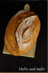 Wholegrainy Wheat bread with sweet Starter Wholegrainy Wheat bread with sweet Starter