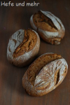 Whole Grain Whole Grain