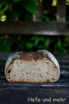 Hafergrütz-Brot mit geröstetem Buchweizen