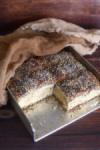 Weltmeisterliche Backblech-Brötchen Weltmeisterliche Backblech-Brötchen