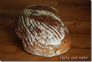 Kartoffel-Vollkornbrot