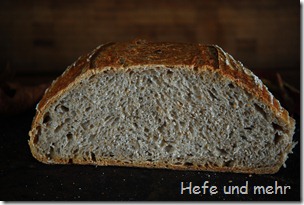 Fallobst-Brot (2)