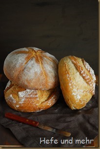 Bauernbrot für Anfänger 1