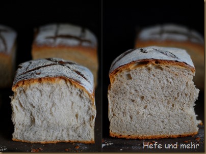 angeschobenes Weizenmischbrot (4)