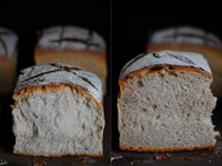 angeschobenes Weizenmischbrot (4)