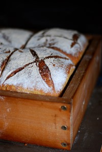 angeschobenes Weizenmischbrot