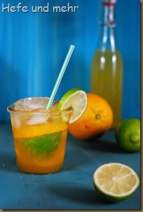 Orangenlimonade (2)