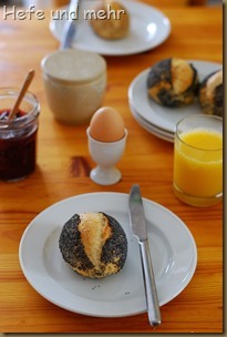 Mohnbrötchen mit süßem Starter (1)