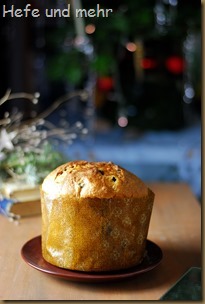 Panettone (3)