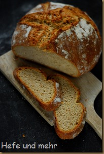 Einfaches Brot (11)