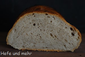Eingenetztes Brot (1)