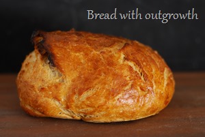 Eingenetztes Brot (3)