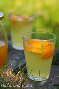 Orangenlimonade