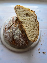 No-Knead Sourdough