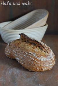 Walnuss und Hafergrütz-Brot (2)