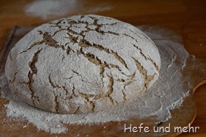 Roggenmischbrot ohne Sauerteig (2)