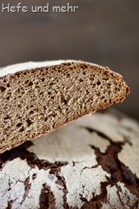 Lichtkornroggen-Brot (3)