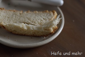 Veganer Dinkelzopf (1)