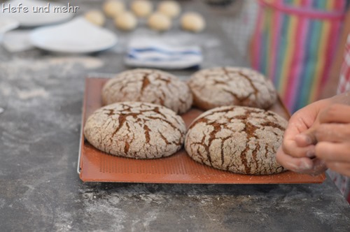 Brotbacken für Anfänger (47)