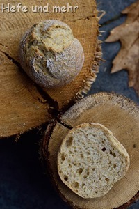 rustikale Kartoffelbrötchen (1)