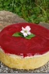 White Chocolate-Mousse Torte with raspberry filling White Chocolate-Mousse Torte with raspberry filling