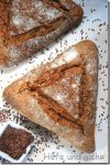 Flaxseed-Triangle Flaxseed-Triangle