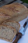 Multigrain bread with levain and prefermented dough Multigrain bread with levain and prefermented dough