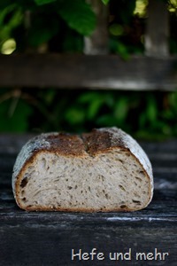 Hafergrütz-Brot mit geröstetem Buchweizen (1)