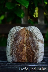 Hafergrütz-Brot mit geröstetem Buchweizen (2)