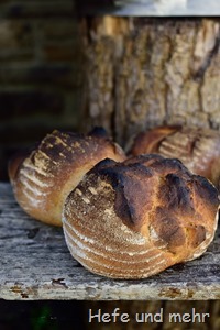 Backes-Brot (3)