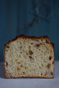 Panettone (6)