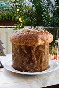 Dinkelpanettone (2)