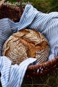 Dinkel-Bauernbrot (1)