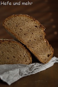 Dinkelmischbrot (2)