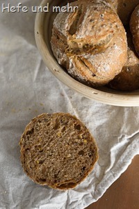 Malzige Körnerbrötchen (1)