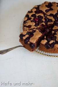 Dunkler Kirschkuchen mit Brotbröseln