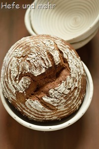 Joghurt-Vollkornbrot mit Honig (2)