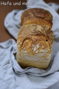 Dinkelmischbrot (1)