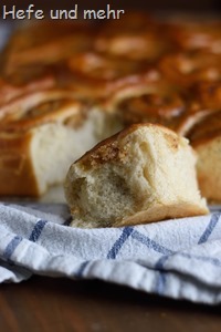 Mandel-Orangen-Schnecken (1)