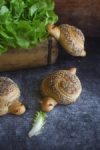Schneckenbrötchen
